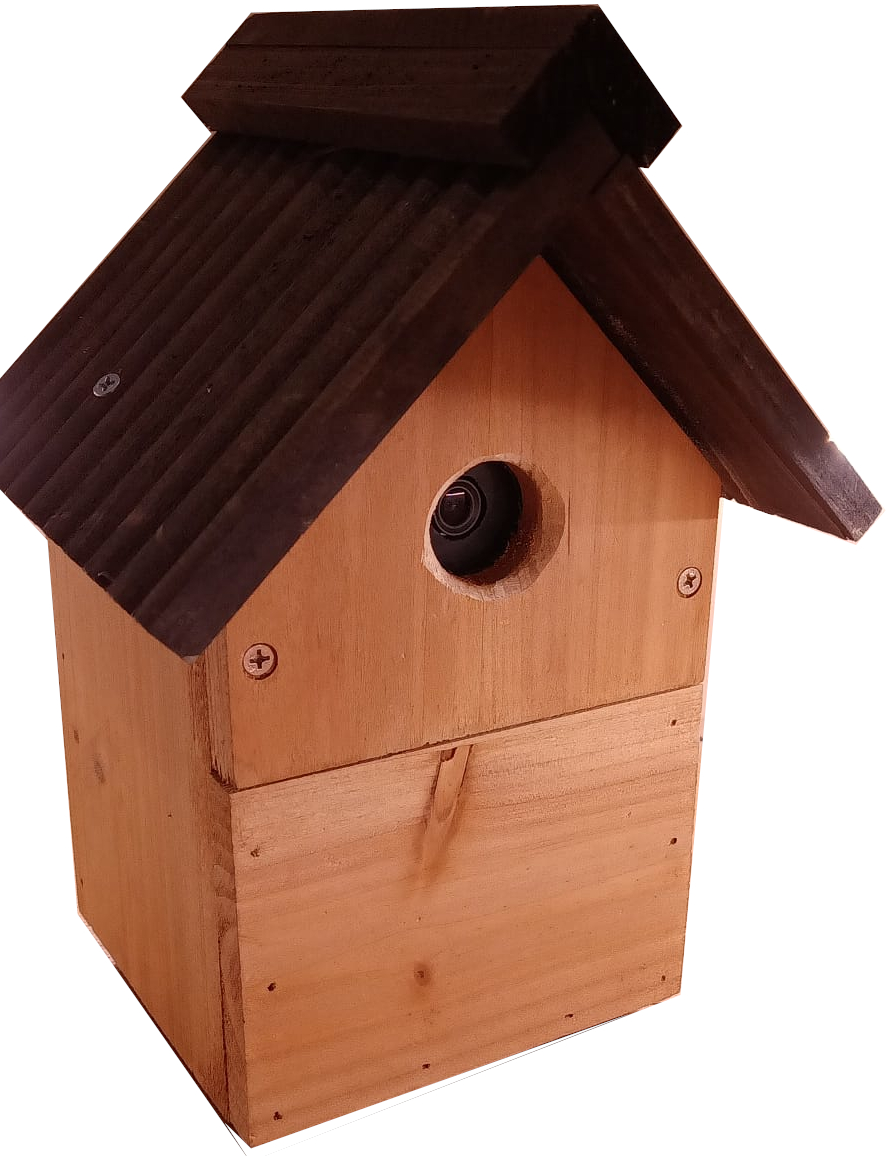 DynAIkonTrap built in a bird-box